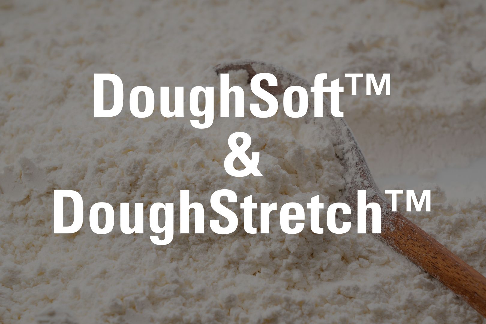dough-product-tiles