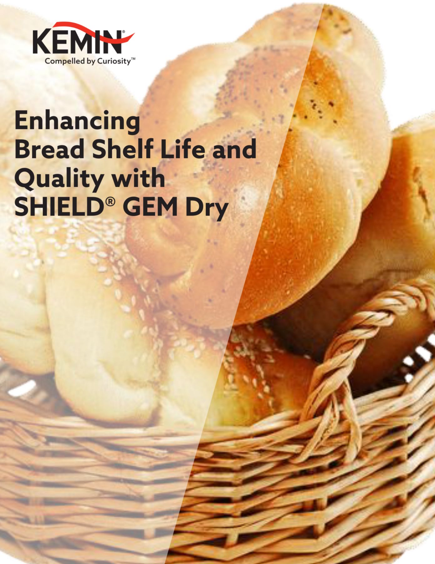 KFTEMEA Product Cover Pages - Enhancing Bread Shelf Life and Quality with SHIELD® GEM Dry