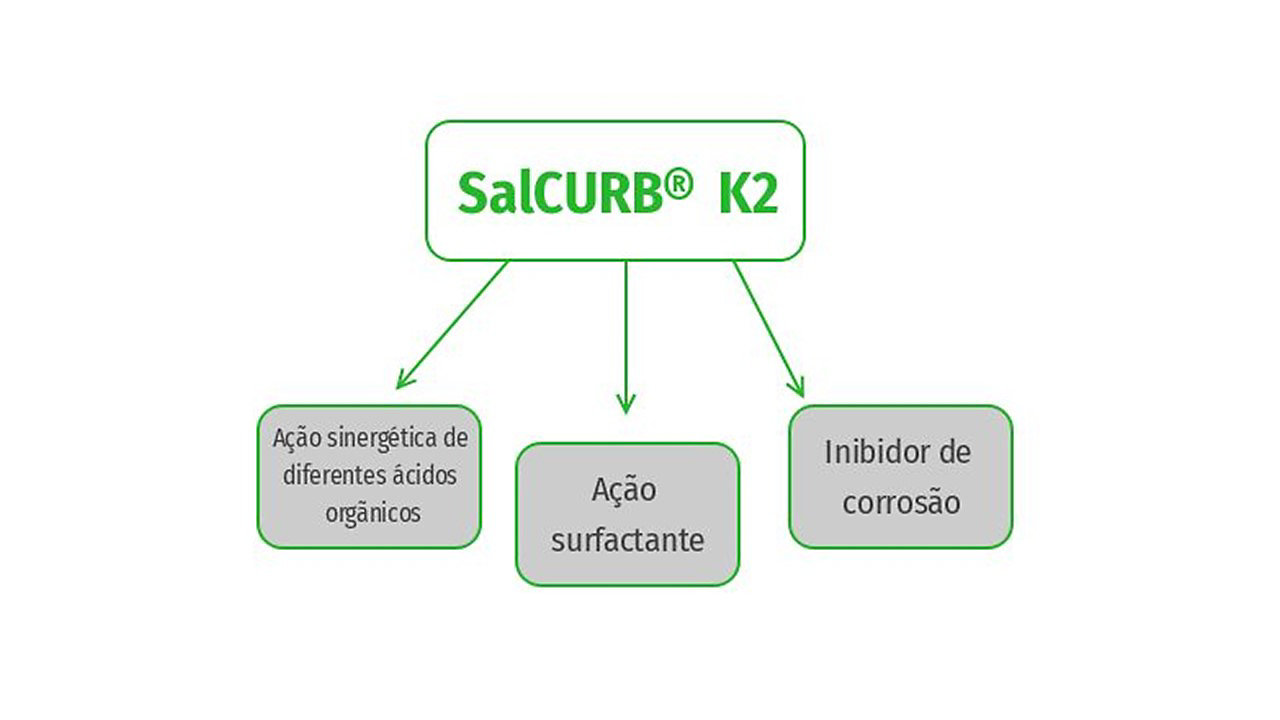 esquema-salcurb-k2