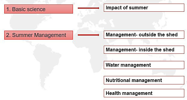 Important aspects to consider for Summer Management