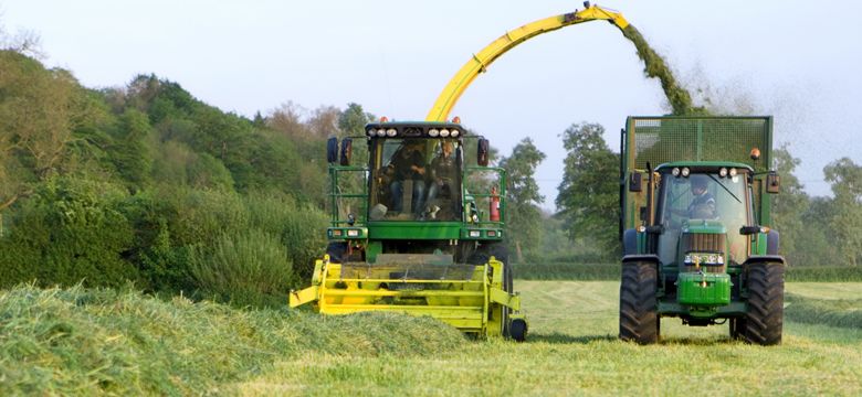 Forage Preservation Hero Image