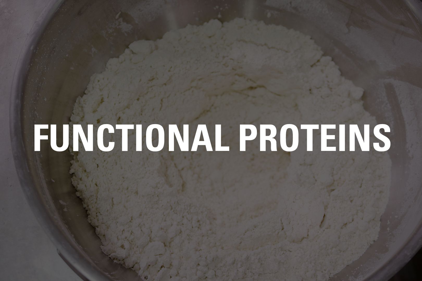 Functional Protein Ingredient Card Title