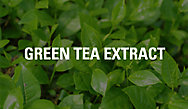 green-tea-tilepng-1