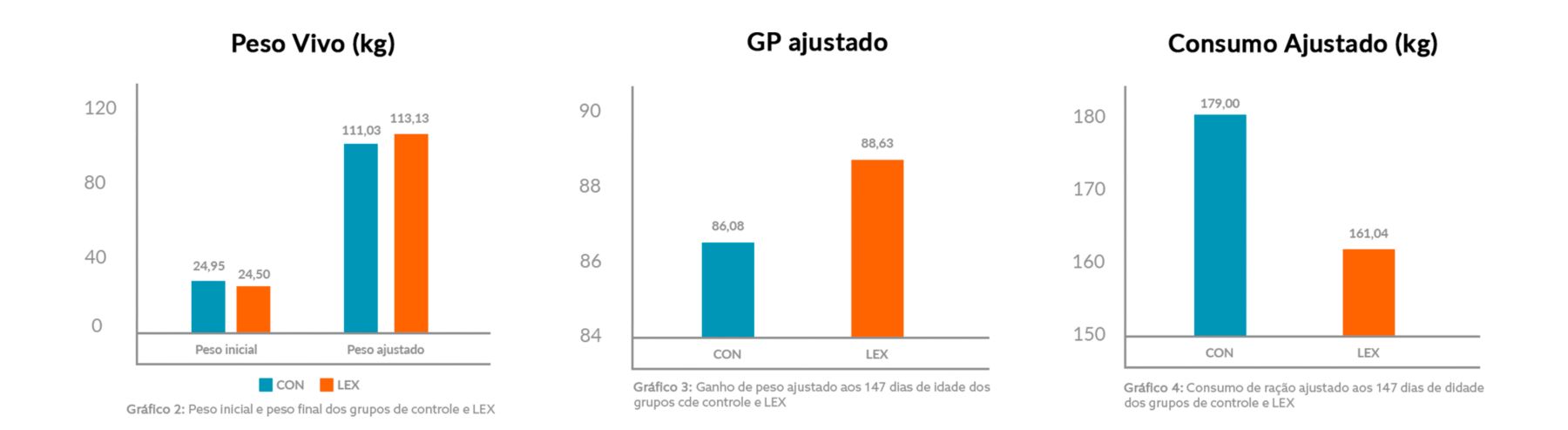 gráfico 2.png