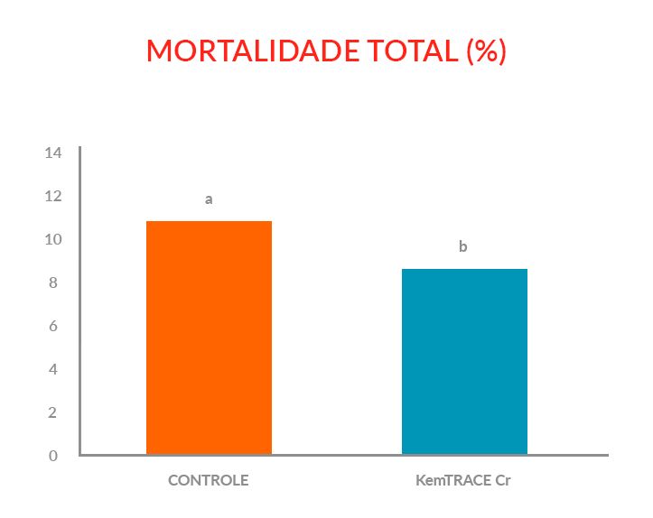 gráfico-4