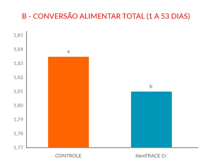 gráfico-6