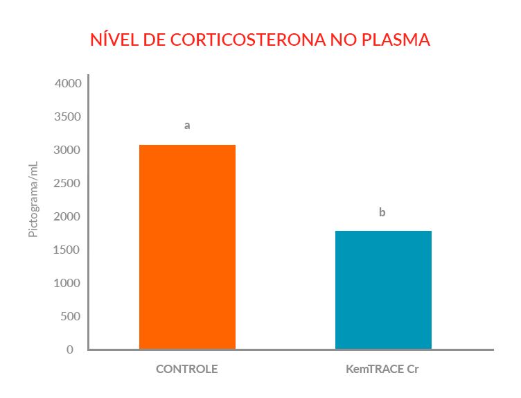 gráfico-7