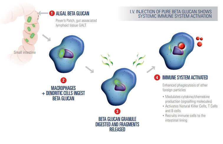 how_aleta_works-web