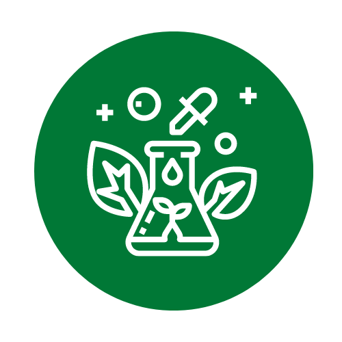 Copy of applications for web