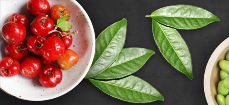 Antioxidant banner image