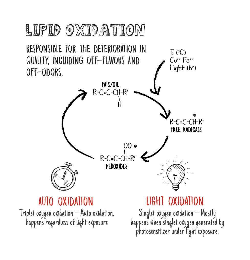 Lipid Oxidation reaction graphic