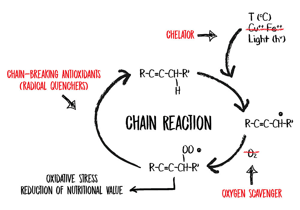 Antioxidant chain reaction graphic