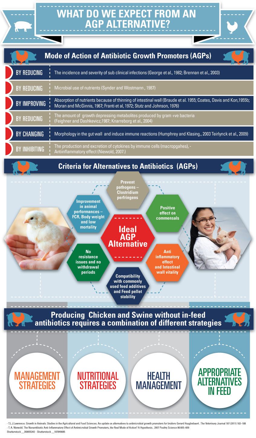 infographic_-_june_-_kaa_1-1