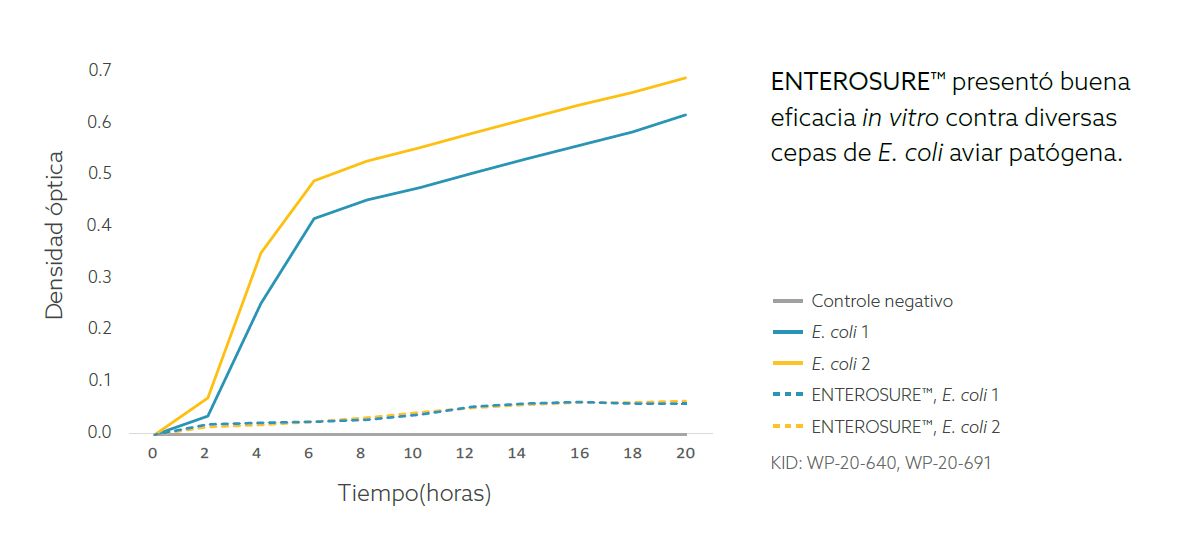 inibición e.coli in vitro cerdos.png