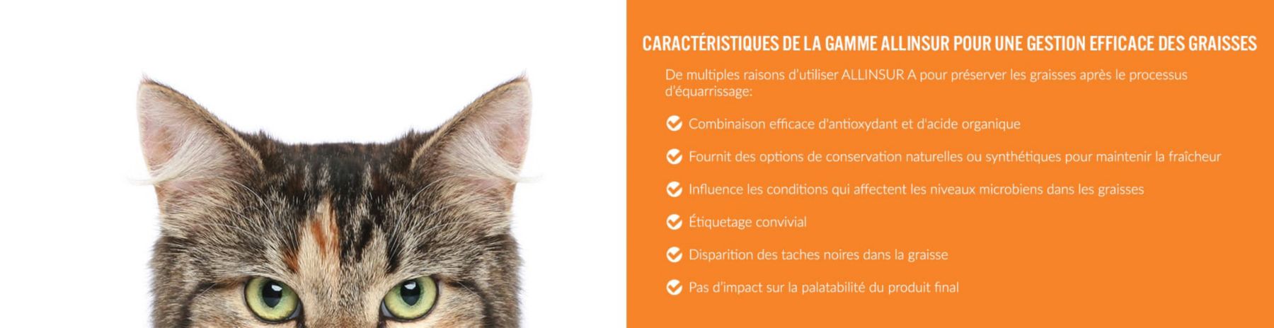 insiders-canada-allinsur-min