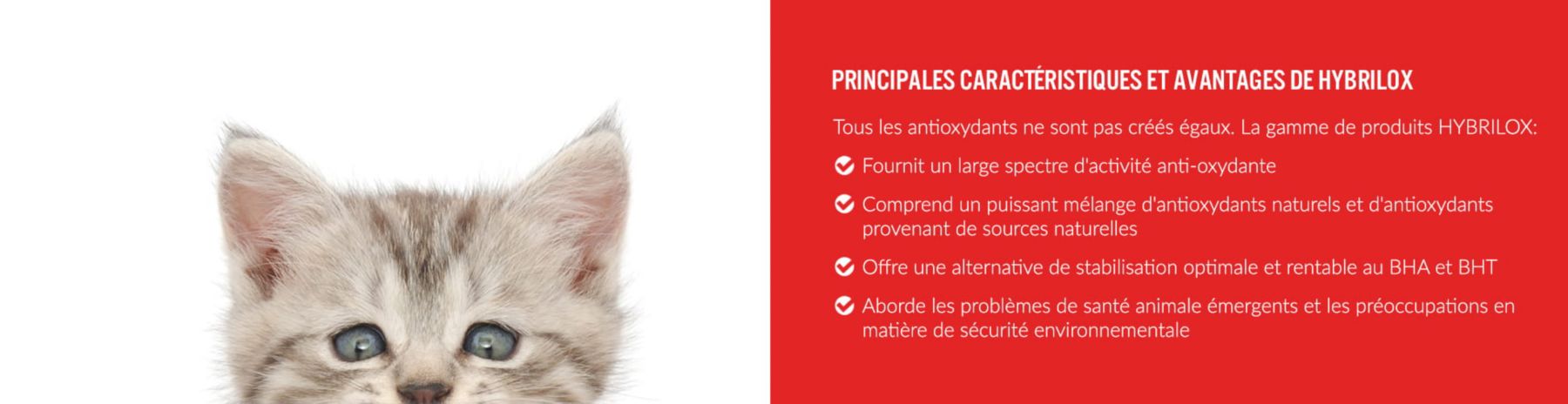 insiders-canada-hybrilox-min