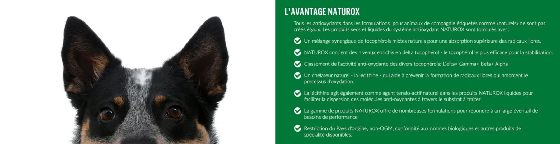 insiders-canada-naturox-min