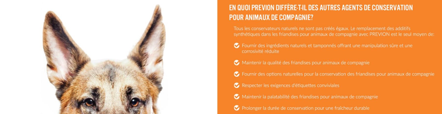 insiders-canada-previon-min