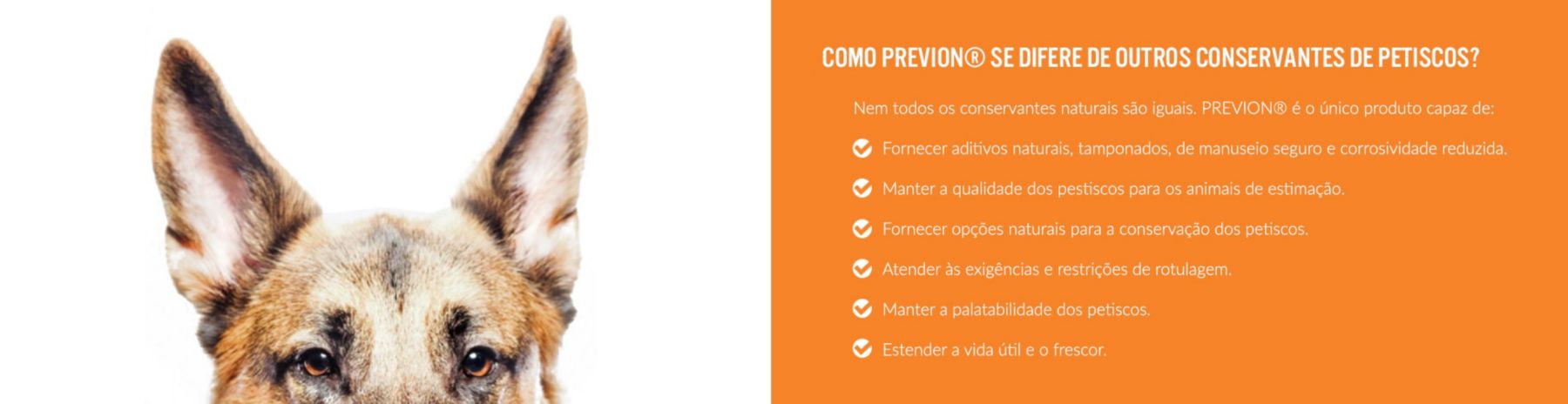 insiders-portuguese-previon-v2-min_1