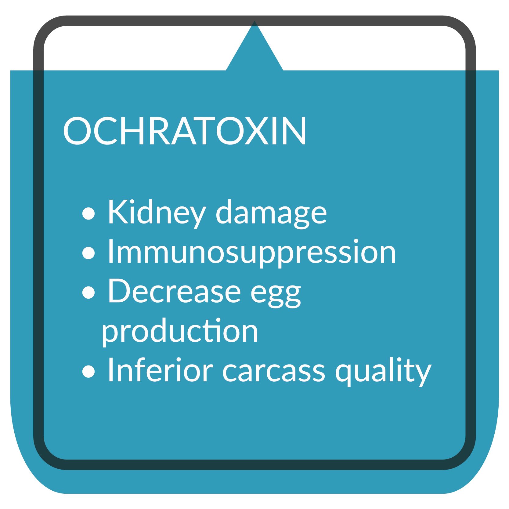 kaa Toxfin Poultry infographic OCHRATOXIN