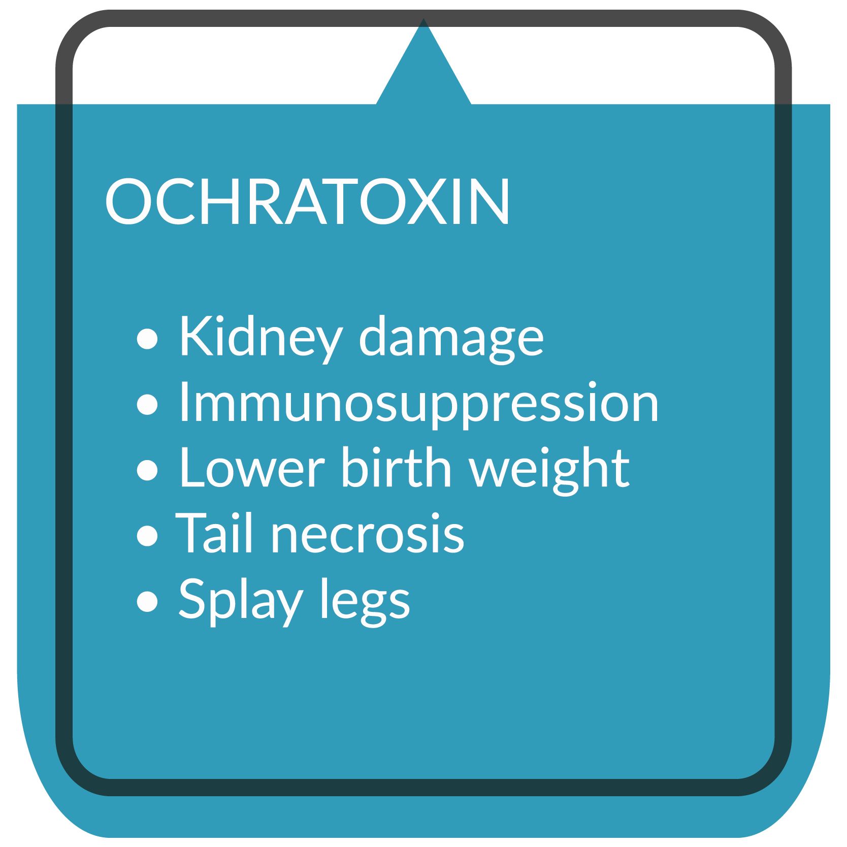 kaa Toxfin Swine infographic Ochratoxin