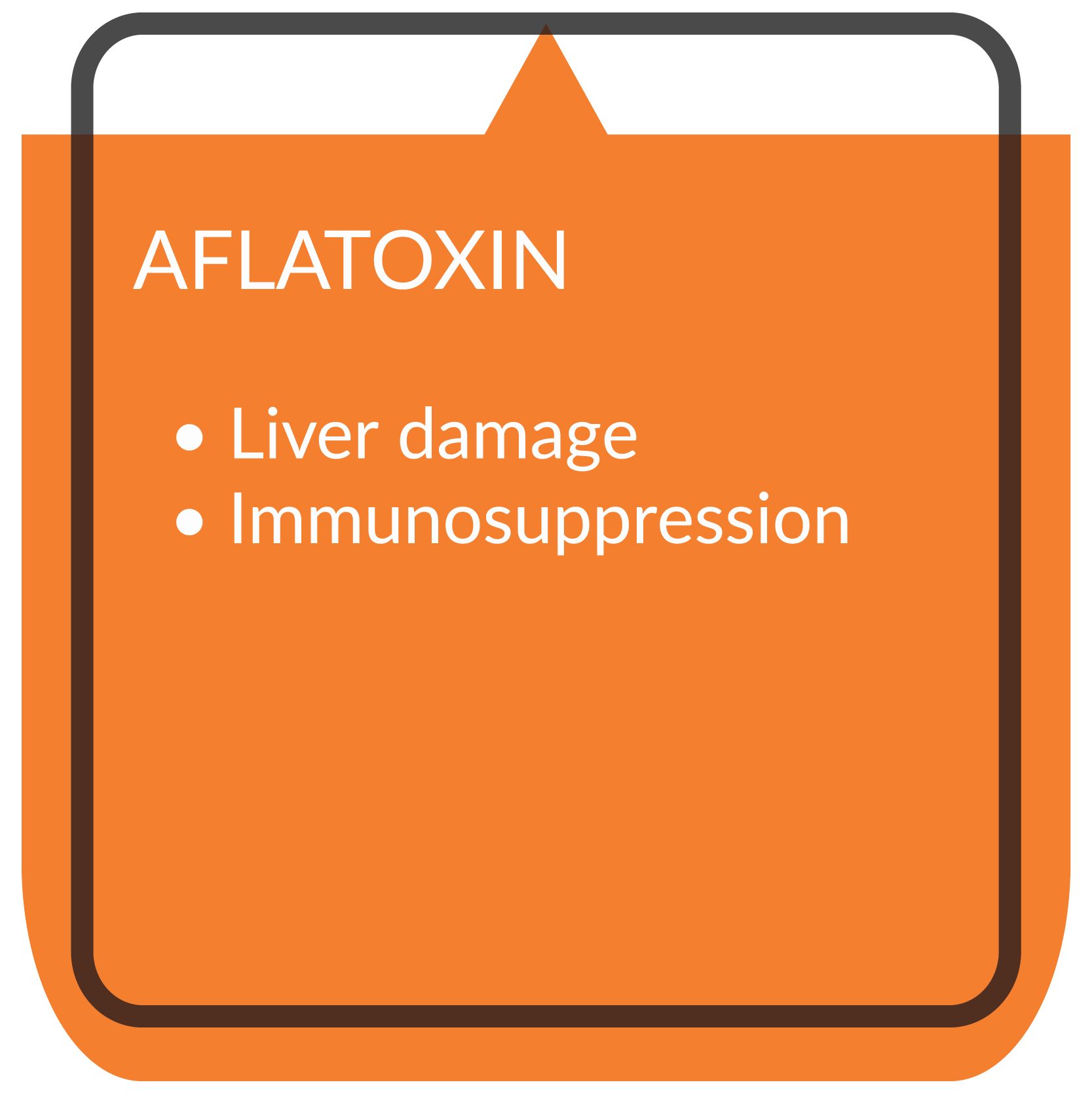 kaa Toxfin Swine infographic aflatoxin