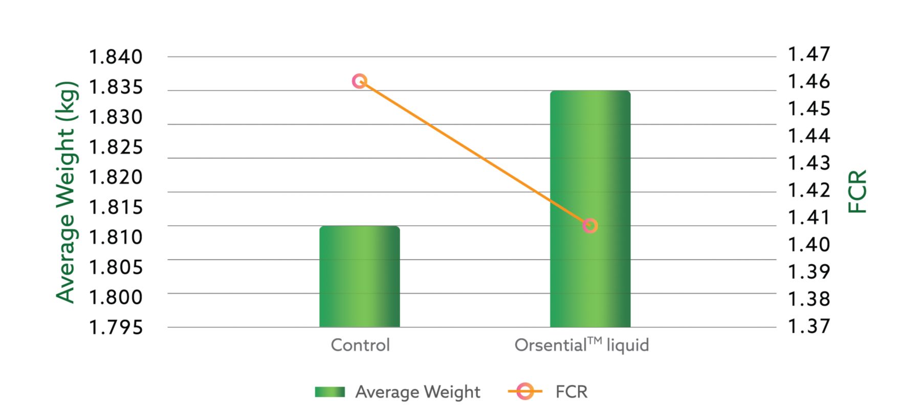 kaa orsential page graph v2-10