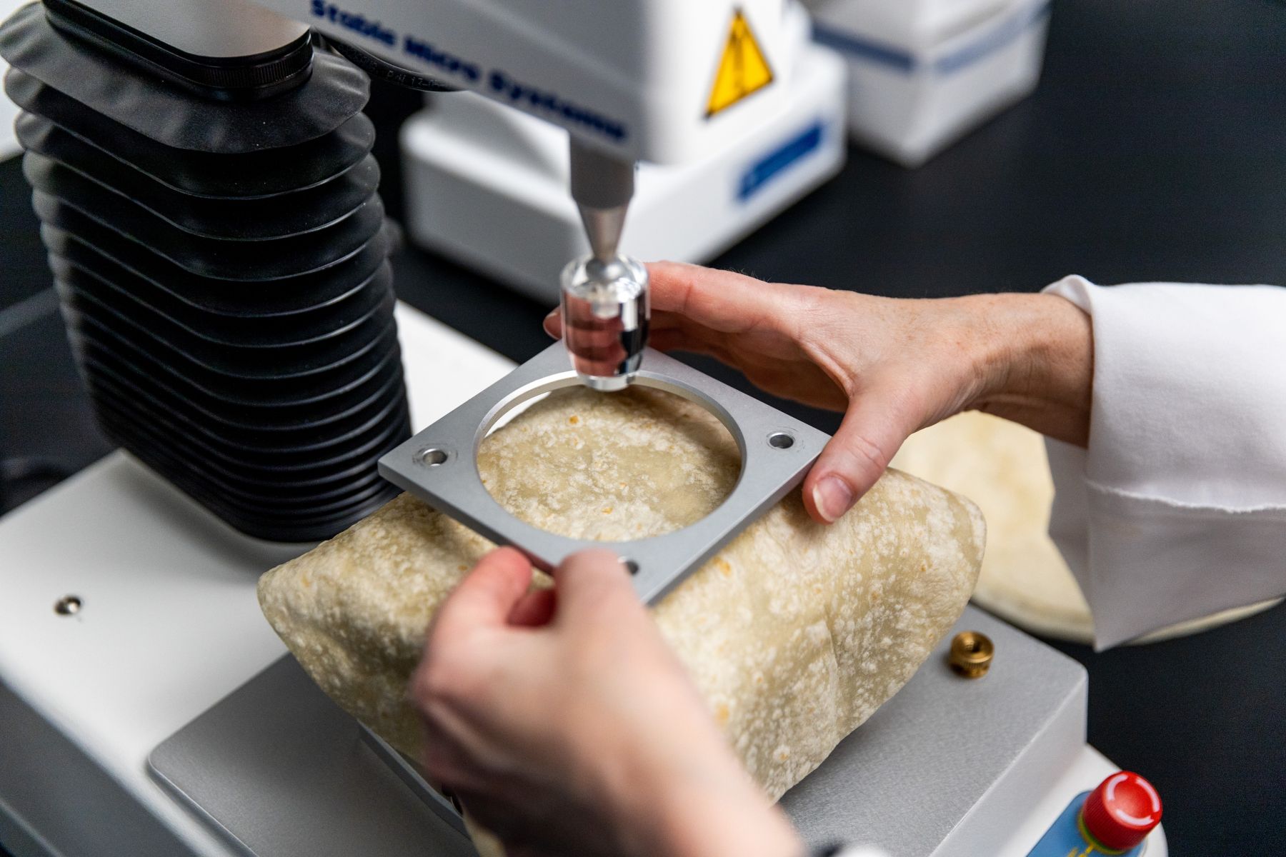 Texture analyzer being used on a flour tortilla