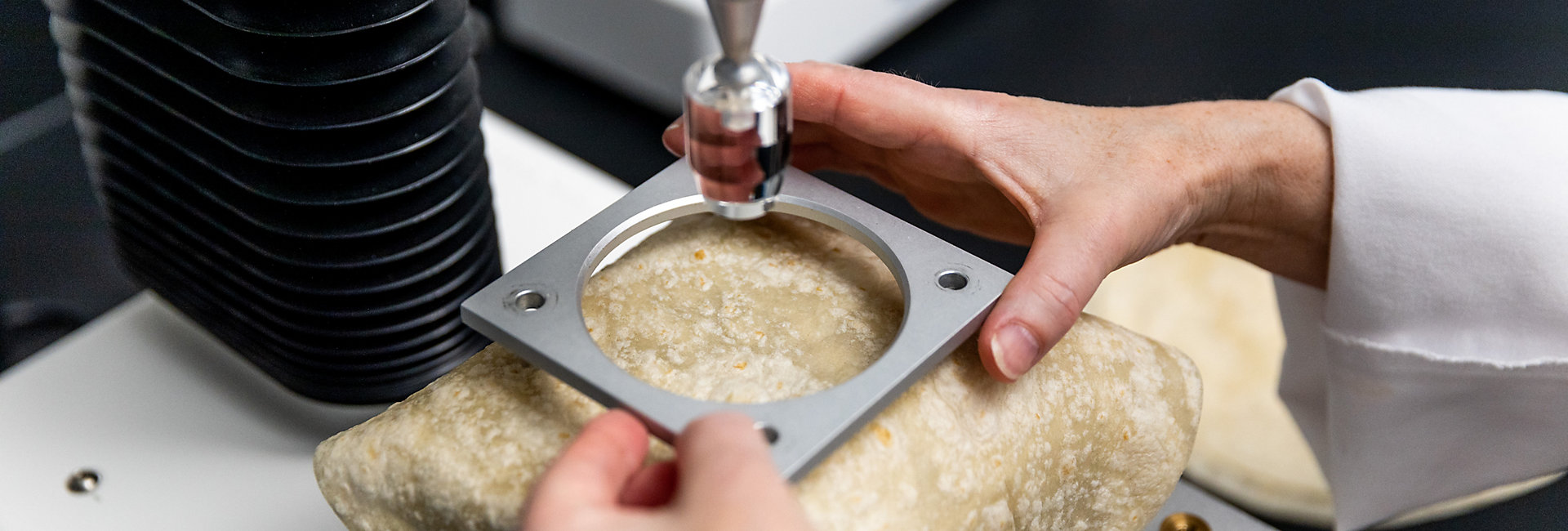 Texture analyzer being used on a flour tortilla