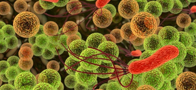 kemin-blog-kae-salmonella-control-min-min
