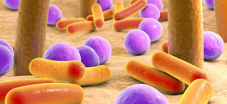 KAI-Action on Intestinal Microbiota