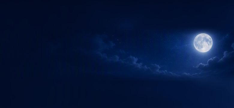 Night_AI_Copilot