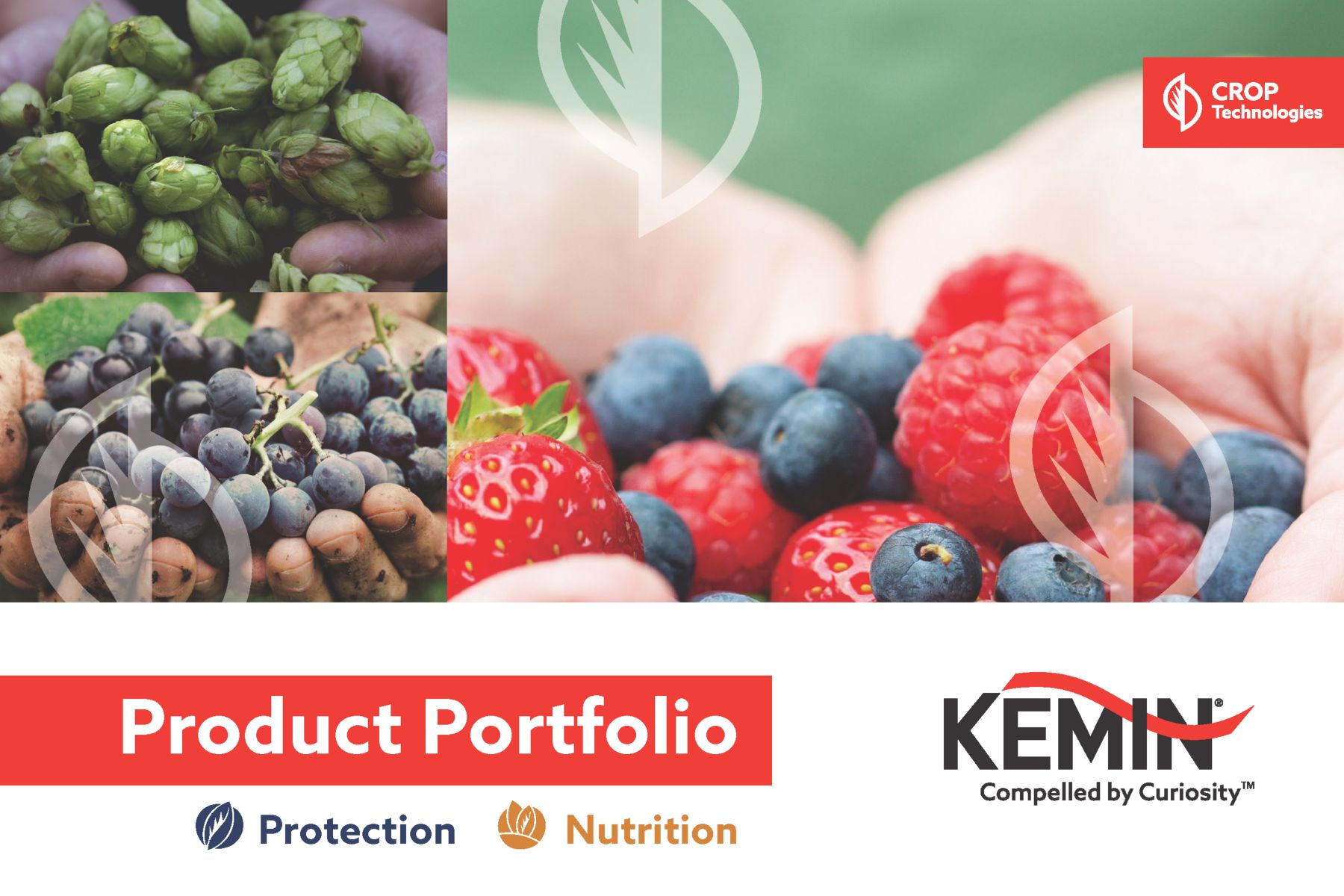 Specialty Crop Portfolio - Page 1 Thumbnail