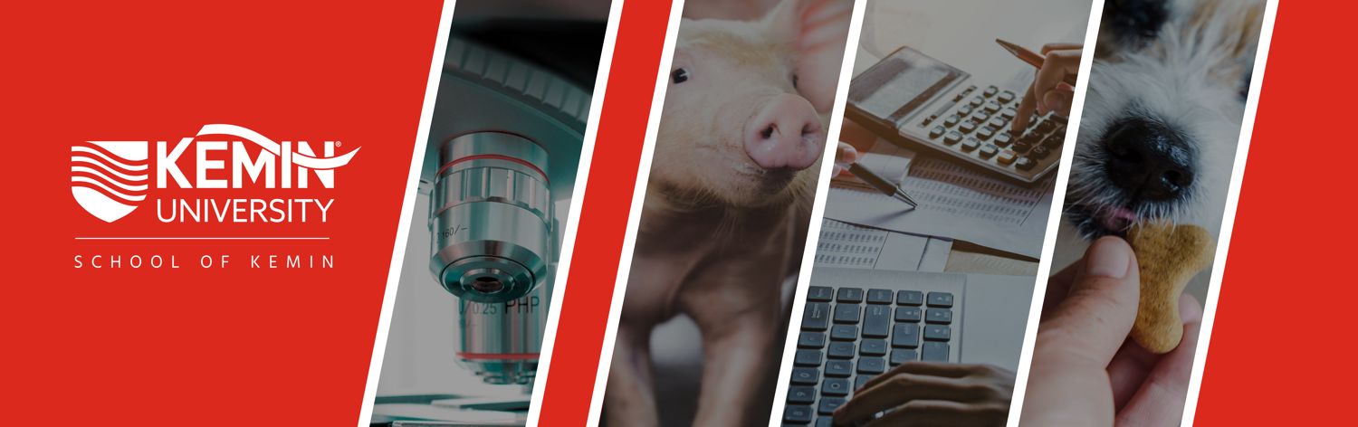 Kemin University School of Kemin