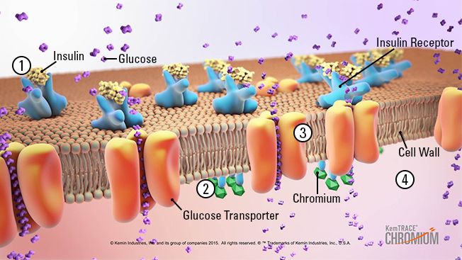 kemtrace-chromium-mode-of-action