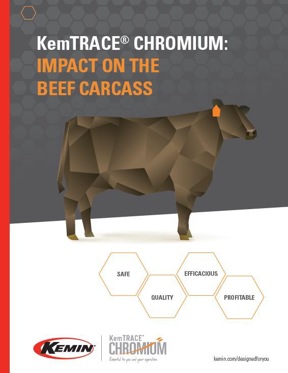 kemtrace_chromium_impact_on_the_beef_carcass