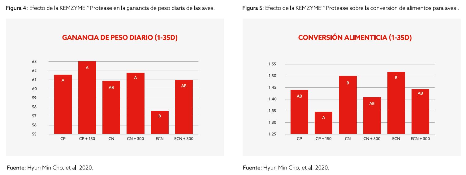 kemzyme pollos grafico 2.png