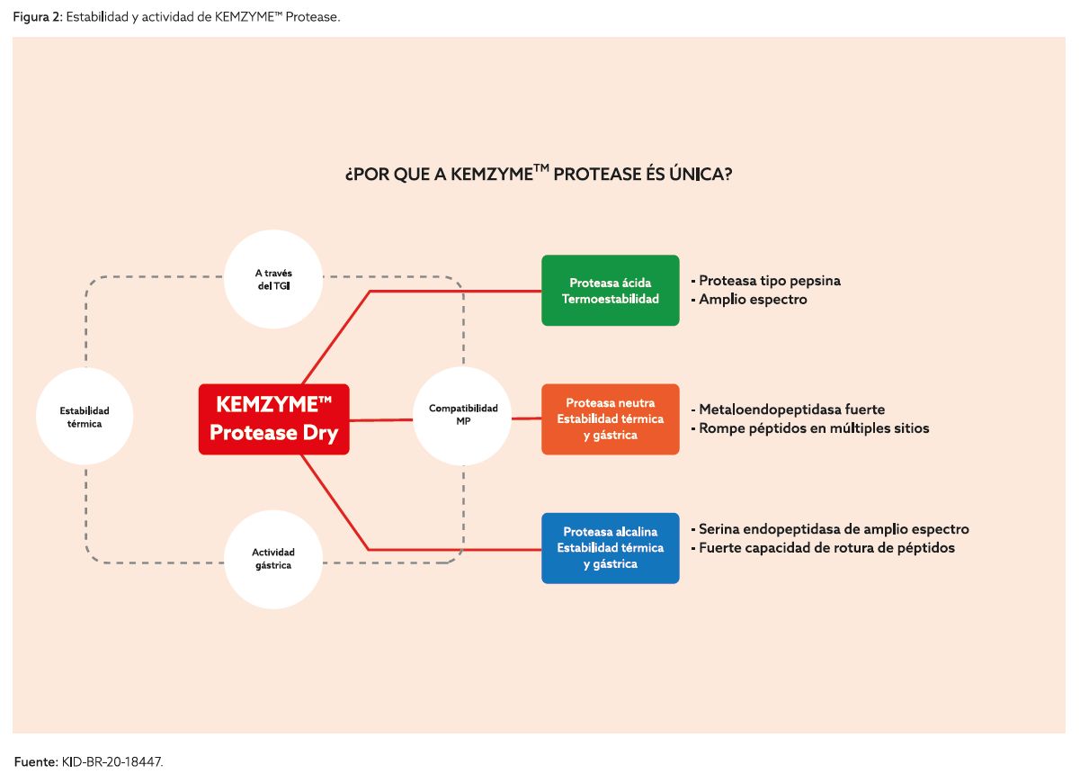 kemzyme pollos imagem 2.png