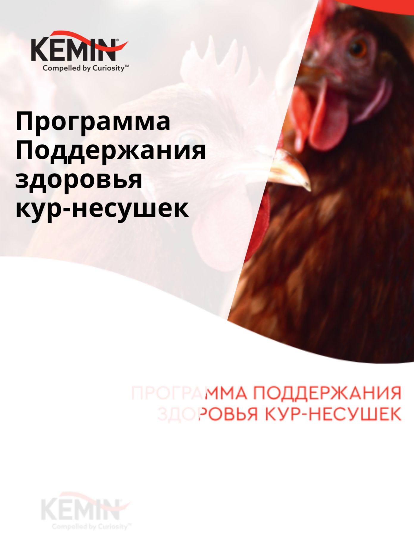 Copy of Aleta Technical Docs - Improving the sow’s nutrient supply increases production cost-efficiency (3)