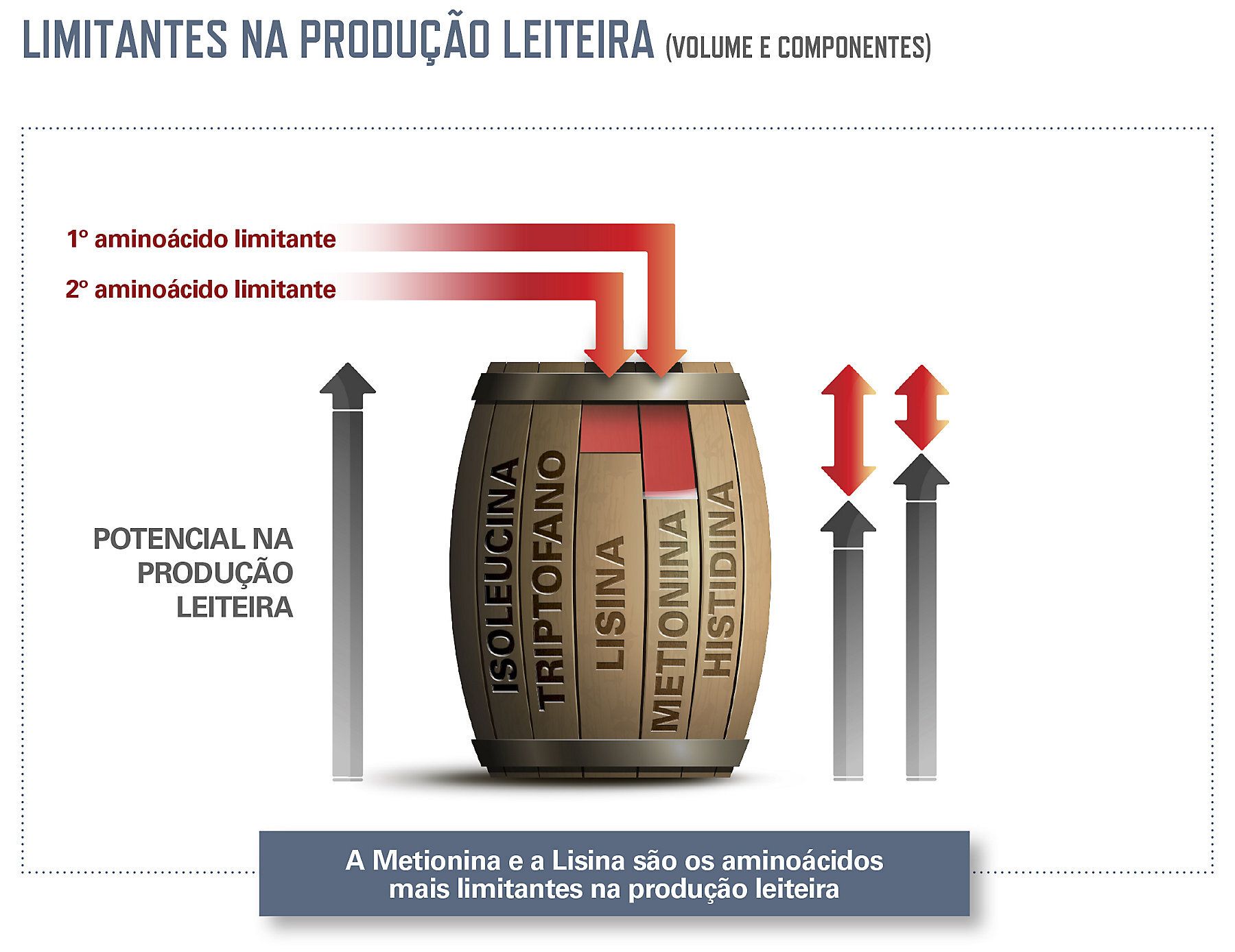 limitantes-produção-leiteira.jpg