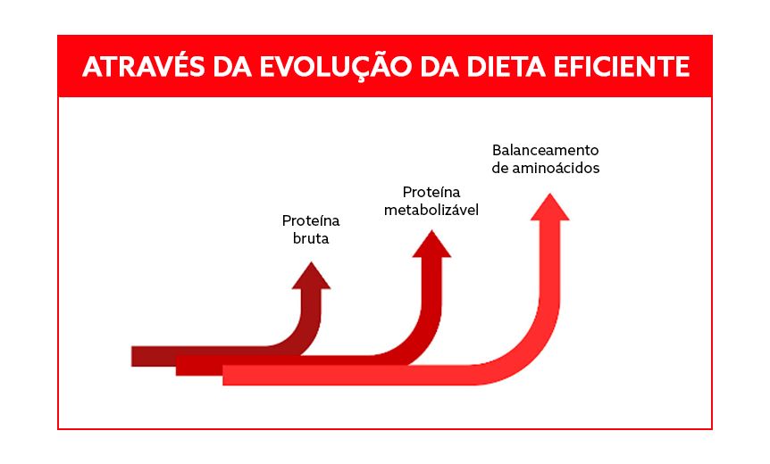 lysigem imagem 2.png