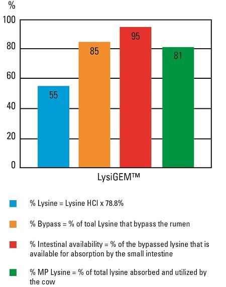 lysigem key parameters