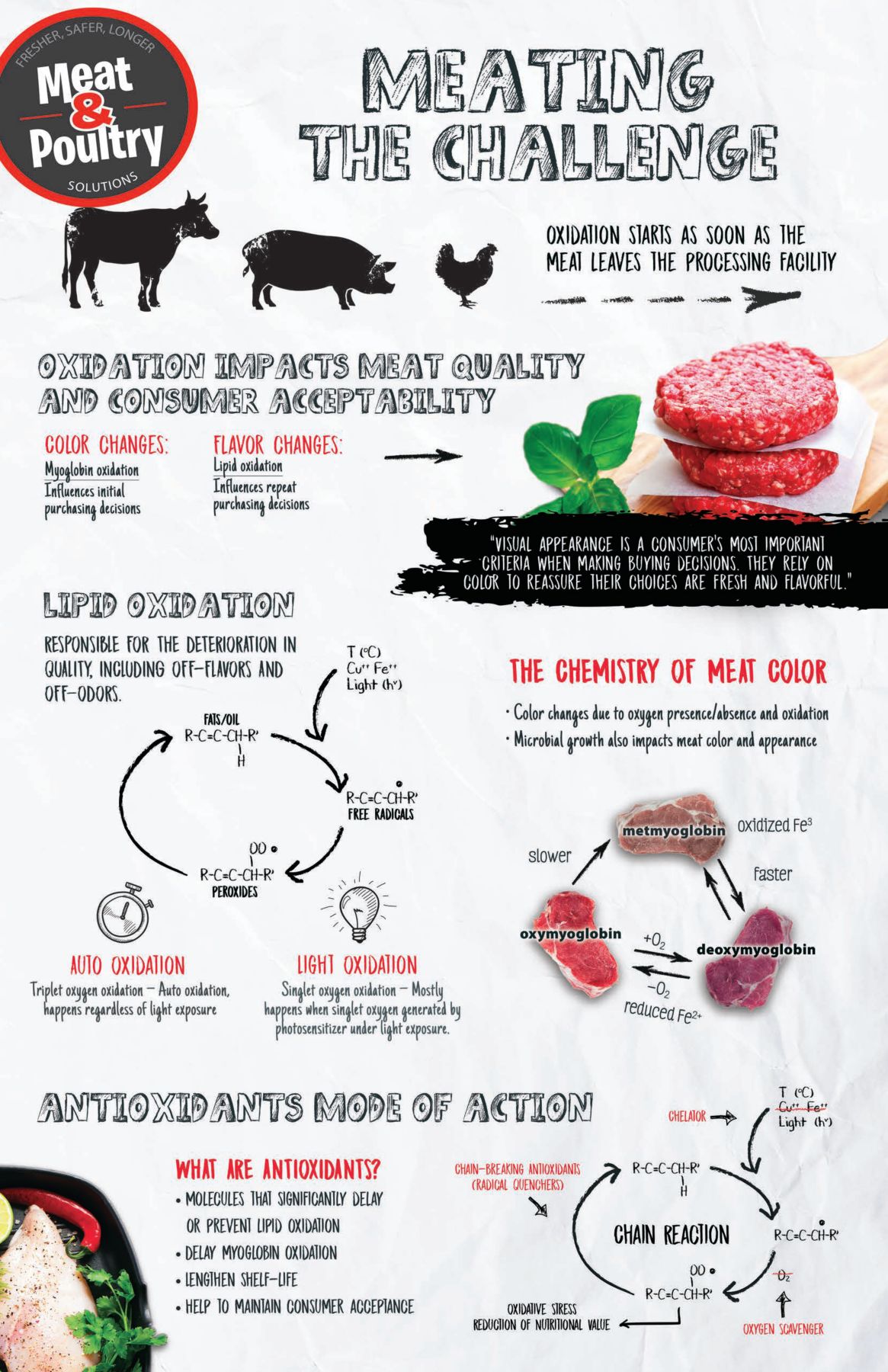 meat-poultry-oxidation-thumbnail