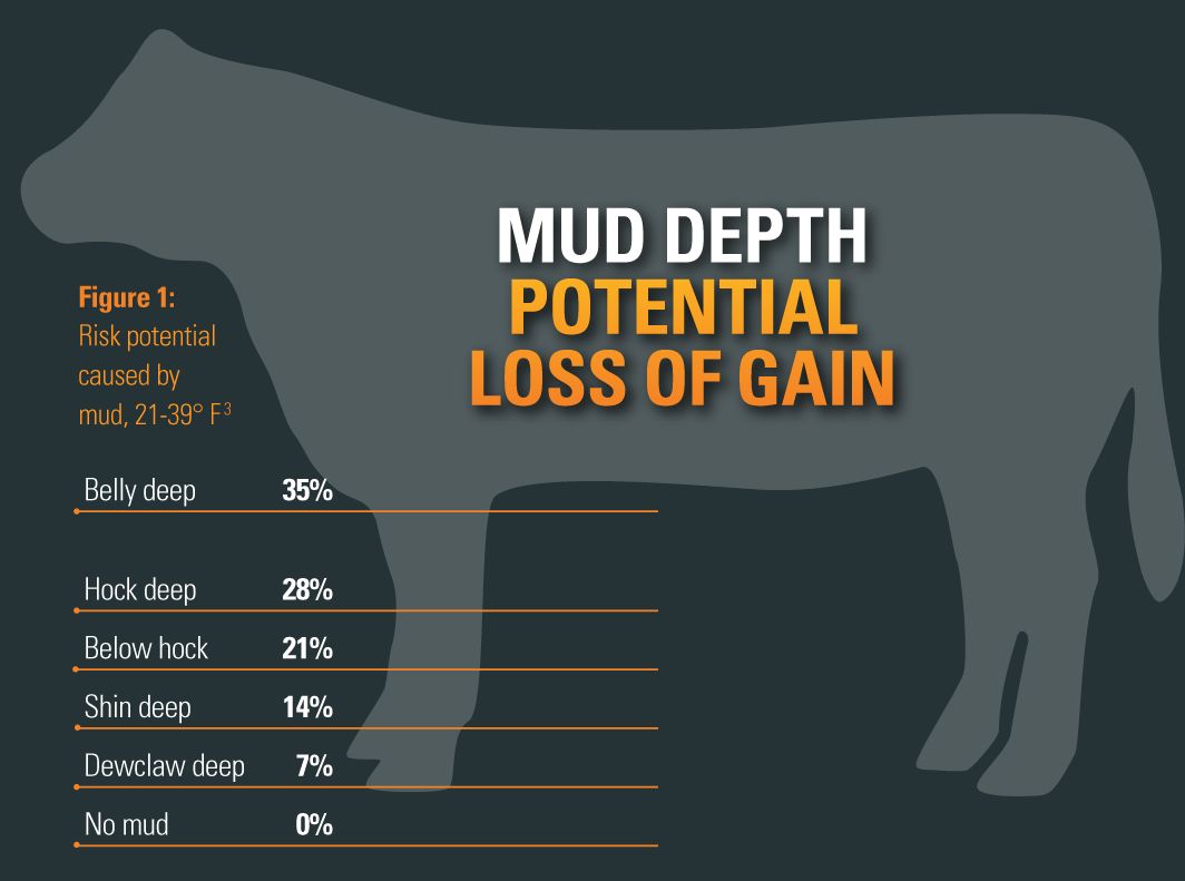 KT Cr Beef Mud Stress Mud Depth