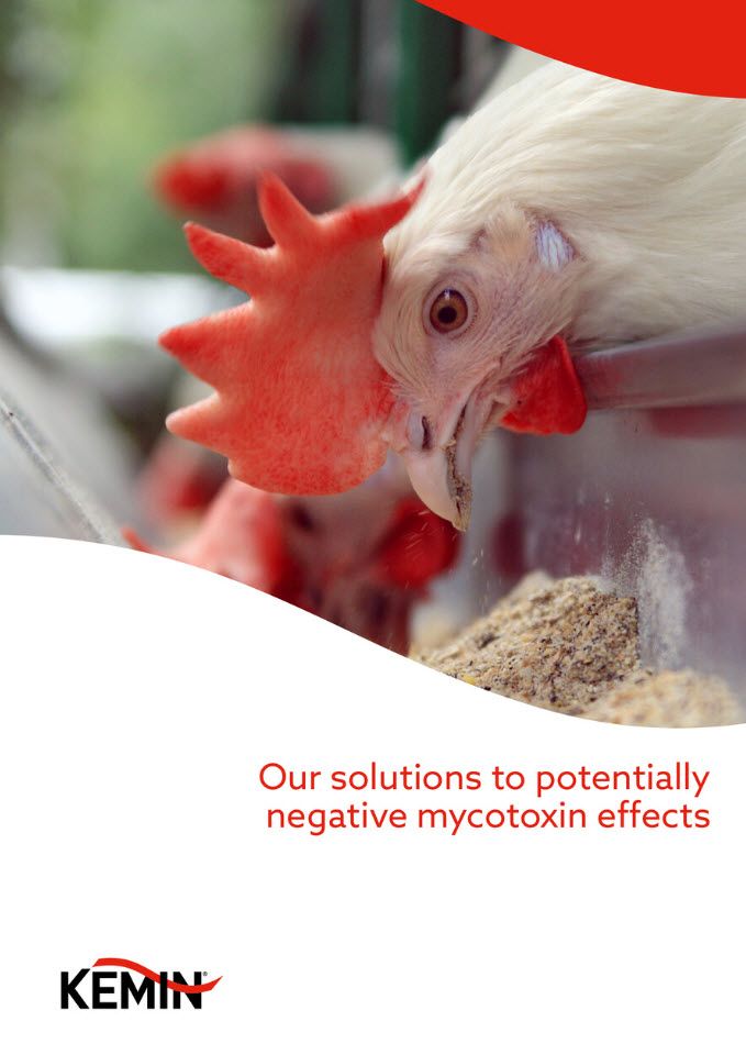 mycotoxin_management_flipsnack_cover_page