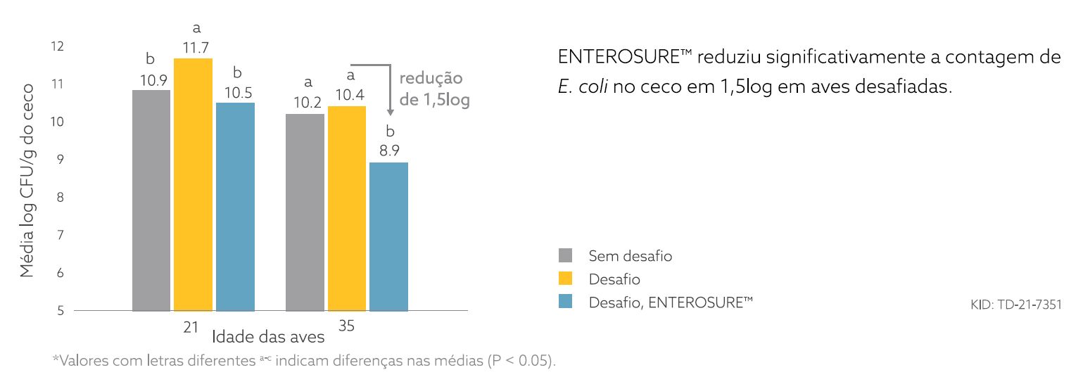 média ceco aves.png