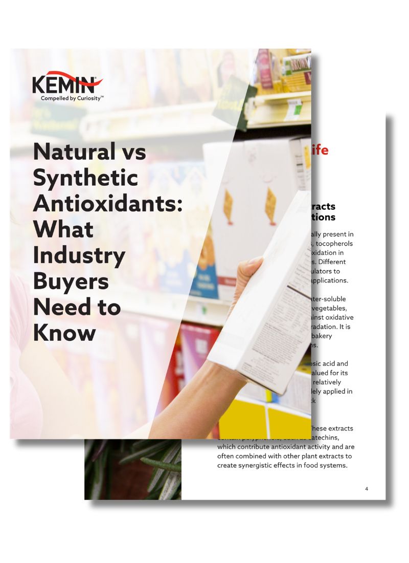 natural-vs-synthetic-ingredients-pdf-thumbnail - 1