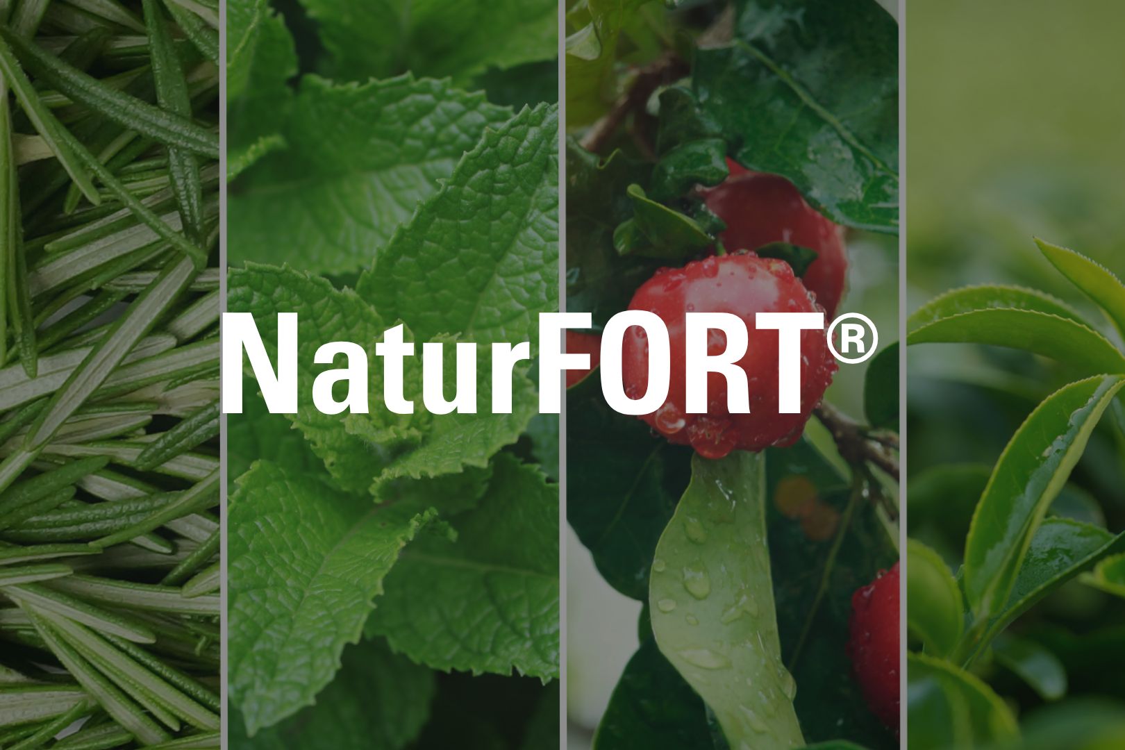 Product_Tiles - NaturFORT