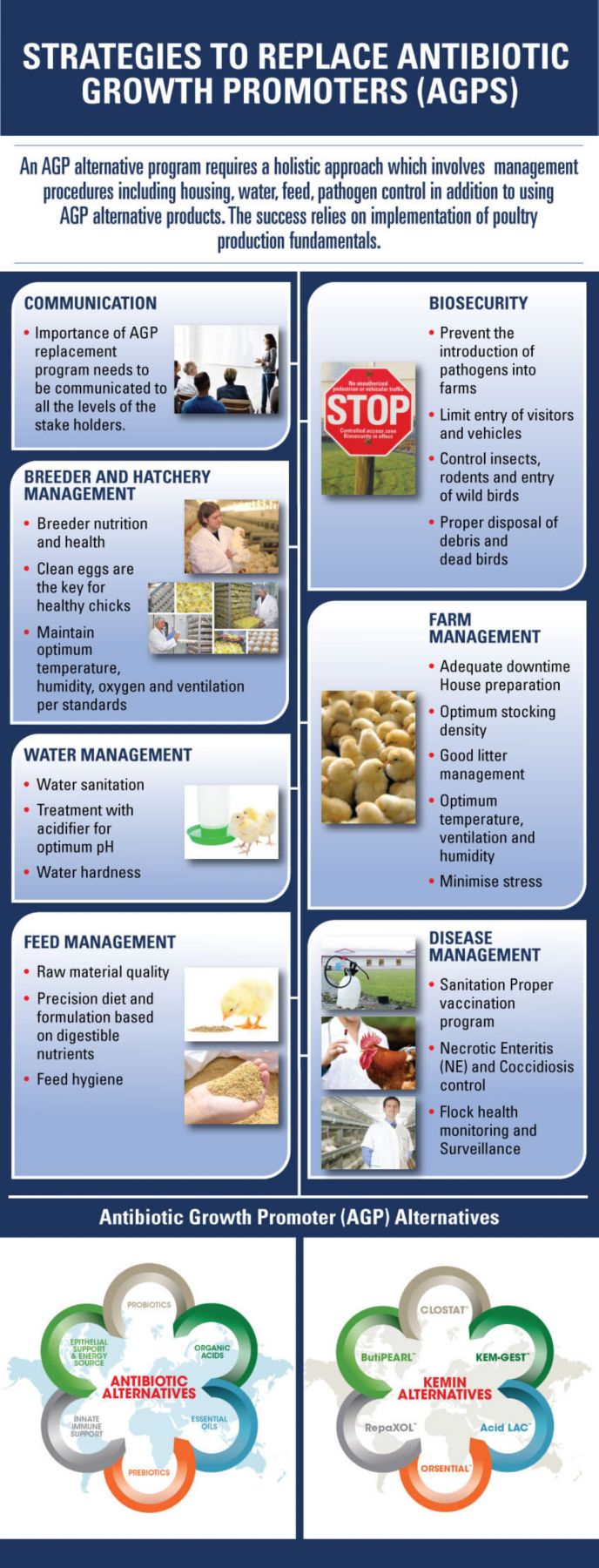 oct_aba_infographic_web_growth_kai_2_0