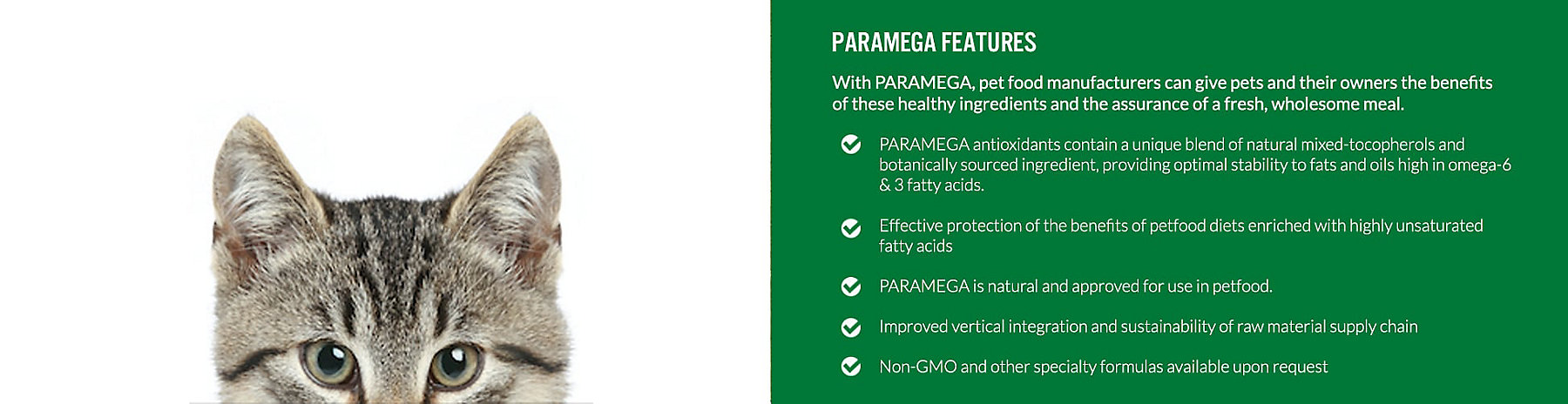 paramega-benefits_1